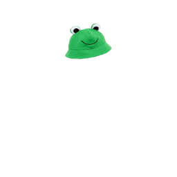 frog_hat